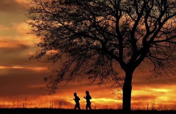 Метеорологи с тревогой наблюдают за климатом
