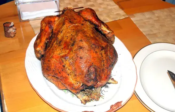 Індычка, ілюстрацыйнае фота
