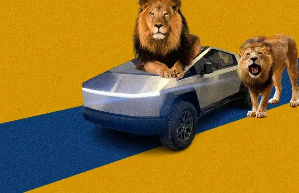 Международные новости
