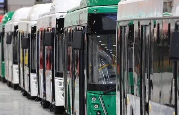 Автобусы МАЗ, иллюстративное фото
