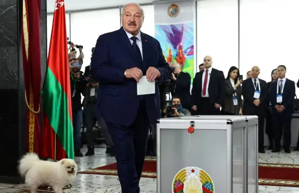 Явка в Беларуси - Умка и Лукашеннко 