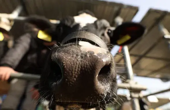 Справу разглядаў суд (ілюстрацыйнае фота)
