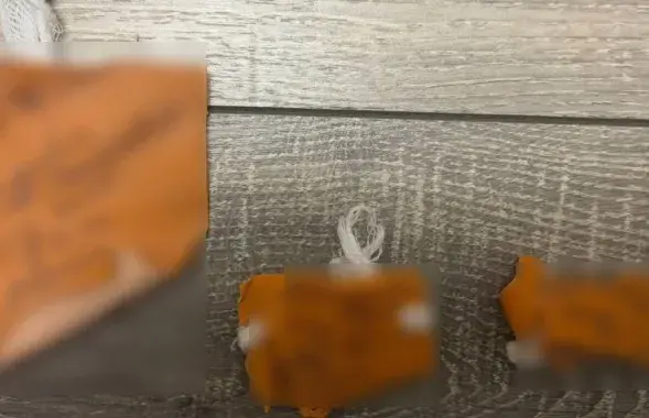 Девочка родилась в начале февраля
