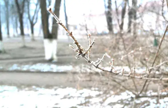 У лютым у Беларусі
