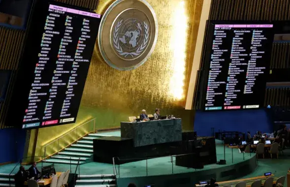 Генасамблея ААН
