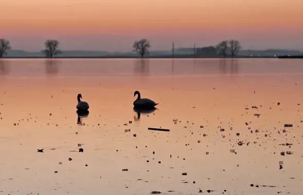 У чаканні вясны
