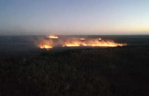 Лесной пожар
