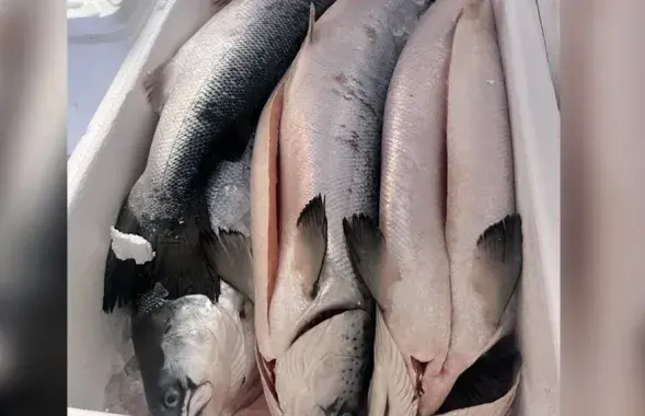 Сушек в грузовике таможенники не обнаружили
