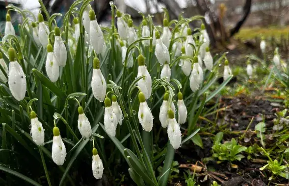 Вясной у Беларусі
