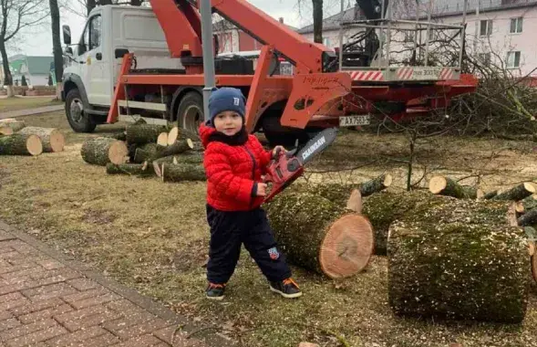 В Беларуси стремительно снижается рождаемость
