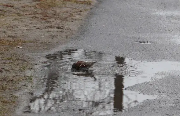 Сакавік у Беларусі
