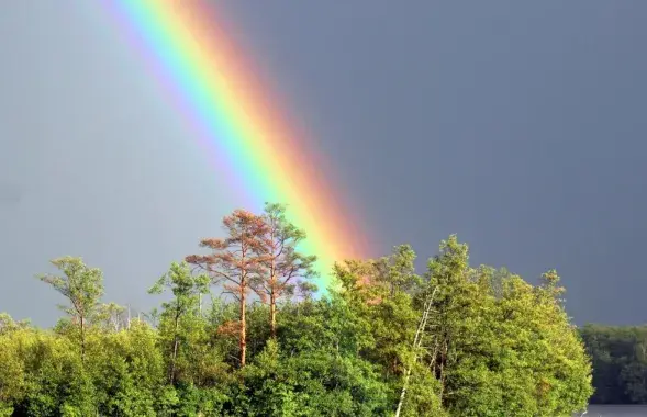 Радуга над болотом в Ельне