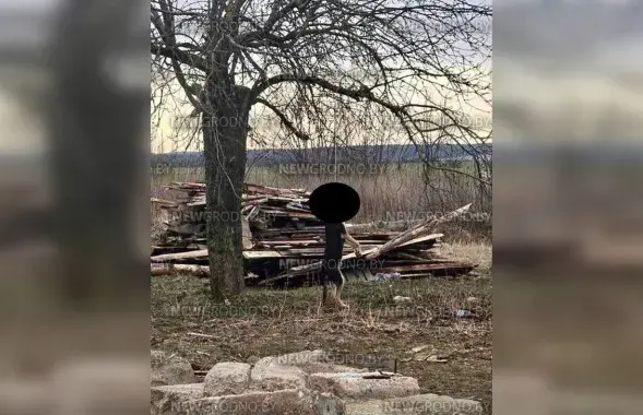 Сабака, павешаны ў Гродне
