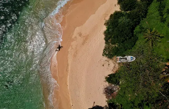 Шры-Ланка / unsplash
