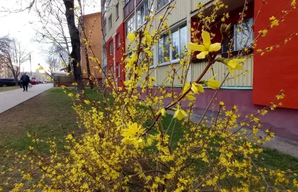 Весна в Беларуси
