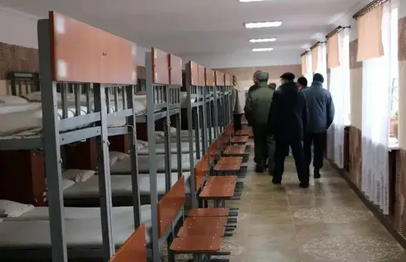 В колонии
