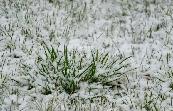 Сярэдзіна вясны ў Беларусі
