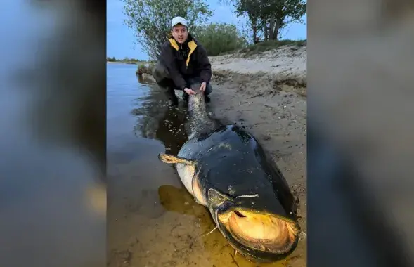 Гигантский сом из Припяти