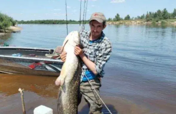 Александр Гордеенко
