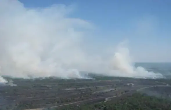 Лесной пожар
