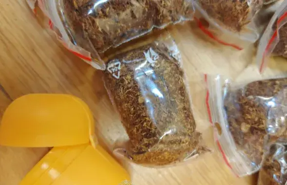 Літовец вёз у Беларусь наркотыкі
