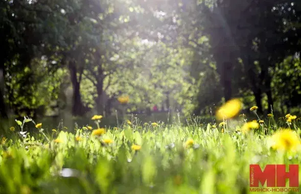 Вясна ў Беларусі
