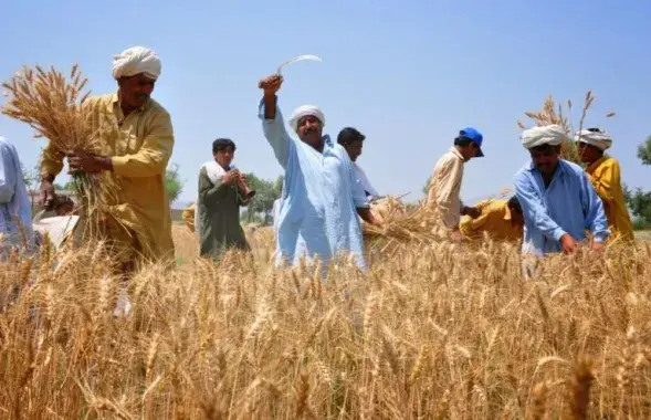 Пакістанцы
