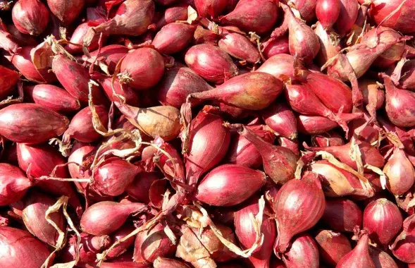 Чырвоная цыбуля ў краме
