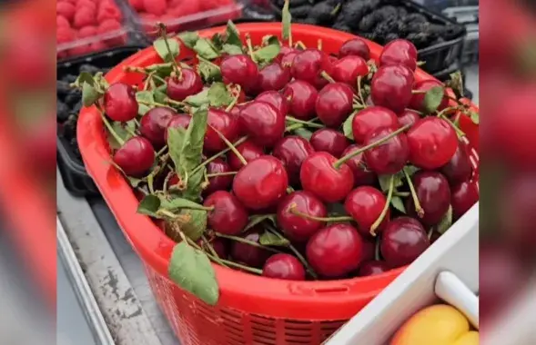 Черешня на Комаровке