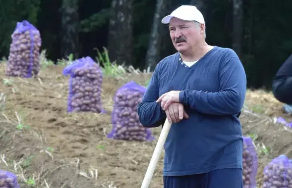 Александр Лукашенко
