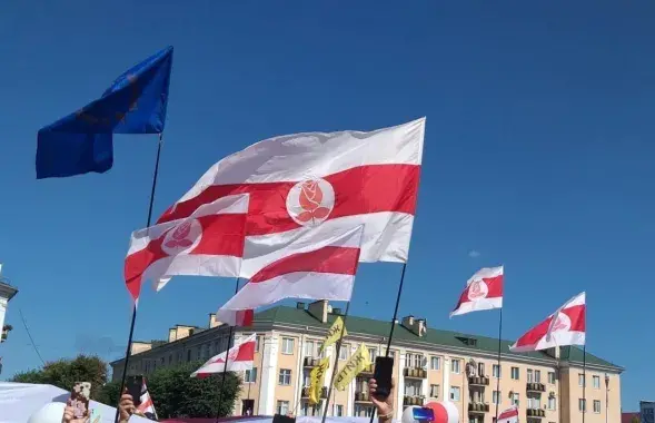 Партийные флаги БСДП (Грамада), иллюстративное фото
