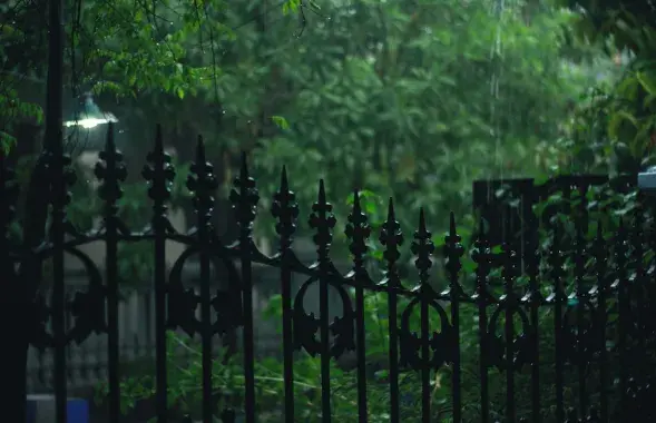 Дождь, иллюстративное фото
