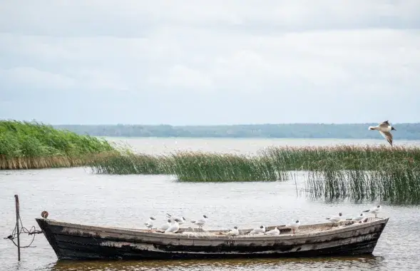 Браславские озёра