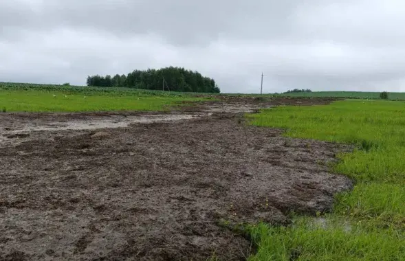 В реке Ятранке от стоков навоза погибла рыба
