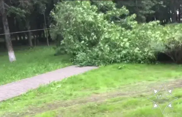 Наступствы ўрагану
