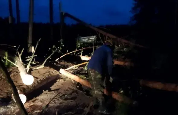 Работы в Жлобинском районе после урагана
