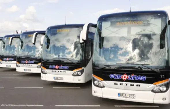 Автобусы, иллюстративное фото
