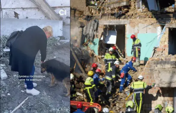 Гаспадар сабакі Джэсікі дзяжурыў на стаянцы ў ноч абстрэлу. Ён загінуў, а сабака дагэтуль чакае яго на месцы трагедыі
