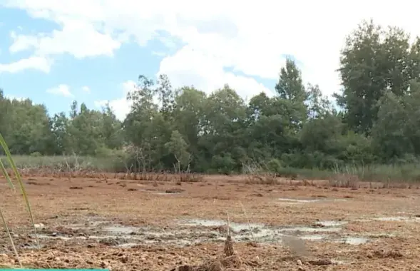 Здесь было озеро Кострицкое
