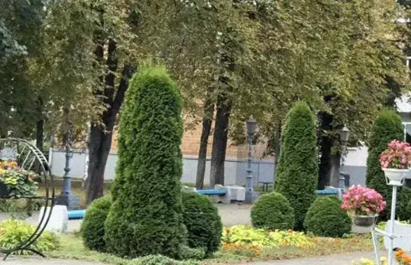 Как столинский колледж стал звездой тиктока

&nbsp;
