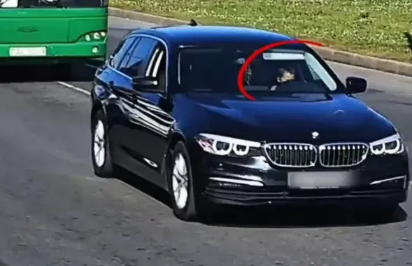 Чатырохгадовы кіроўца
