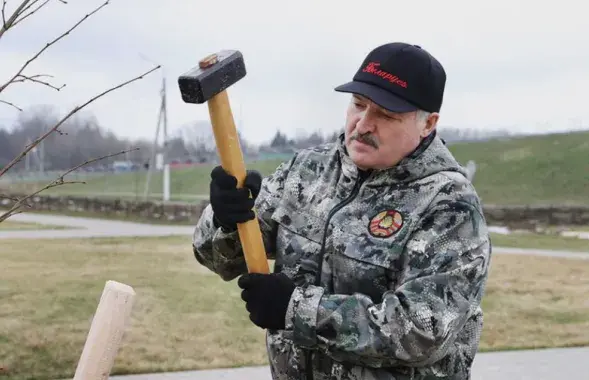Лукашэнка прагуляў суботнік
