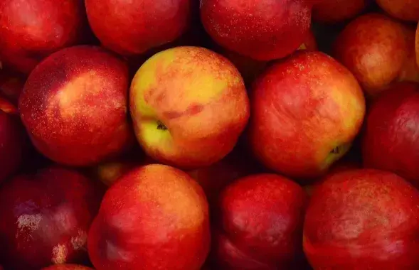 Не яблычная краіна
