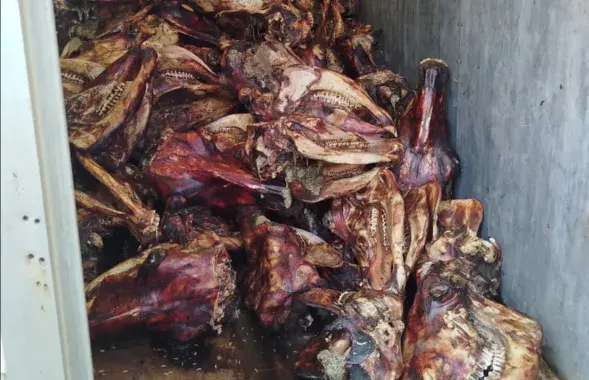 Мясокомбинат в Новогрудке
