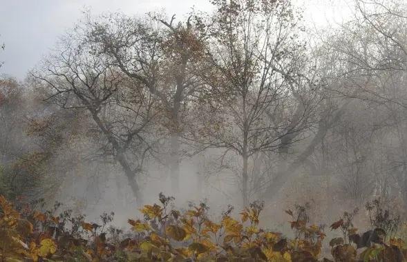 Осень, иллюстративное фото
