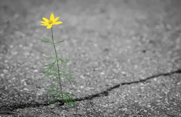 Асфальт, иллюстративное фото
