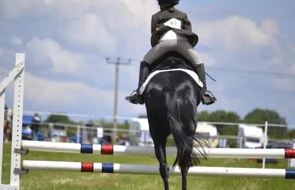 Конный спорт, иллюстративное фото
