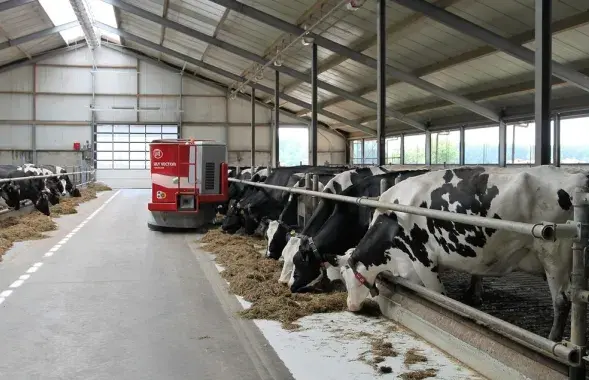 Комитет госконтроля Брестской области отчитался о “битве за урожай”
