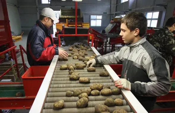 Что предлагает Минсельхозпрод?
