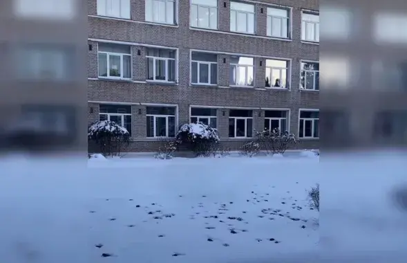 Летучие мыши в снегу у солигорской гимназии №1
